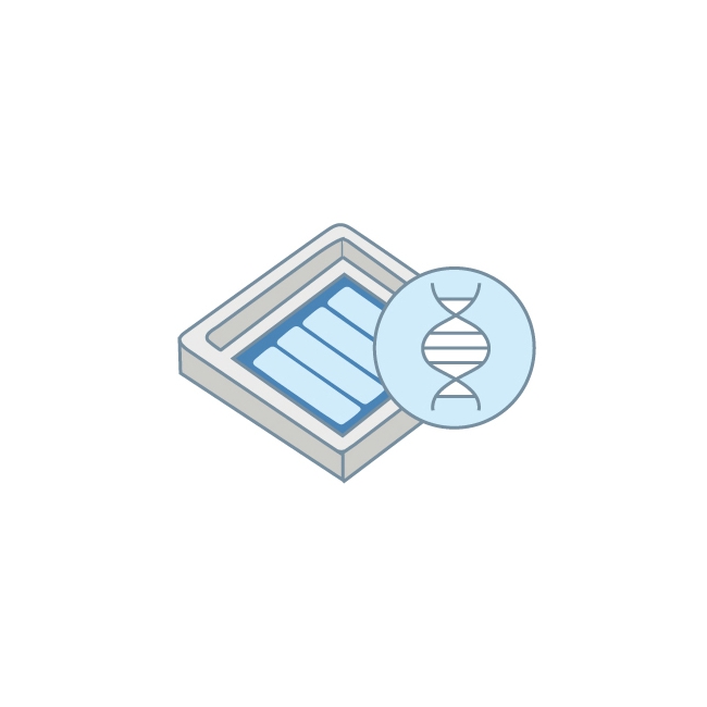 12_Bio-Medical(圖)